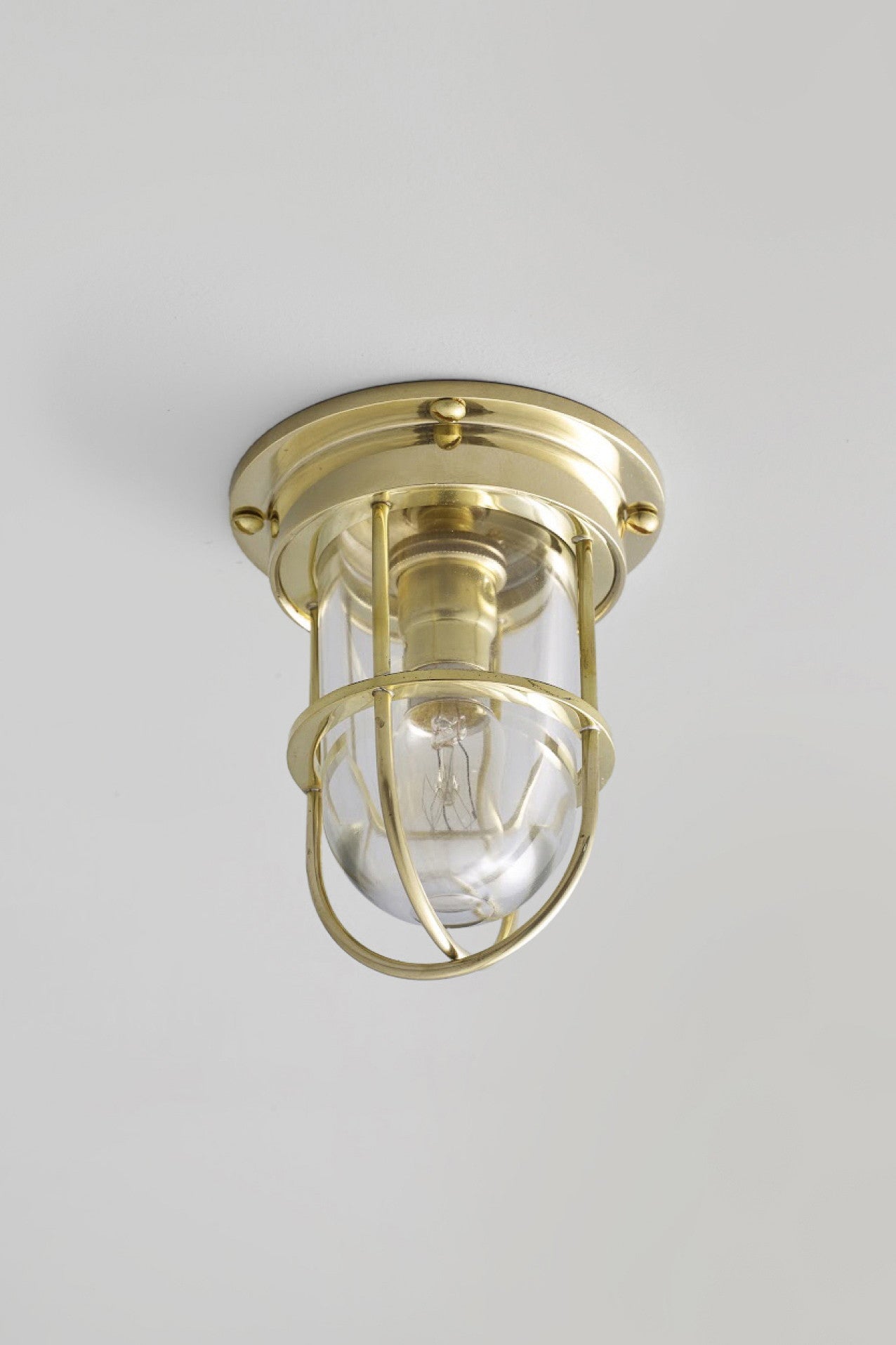 Variant Image for Laiton Poli / Transparent