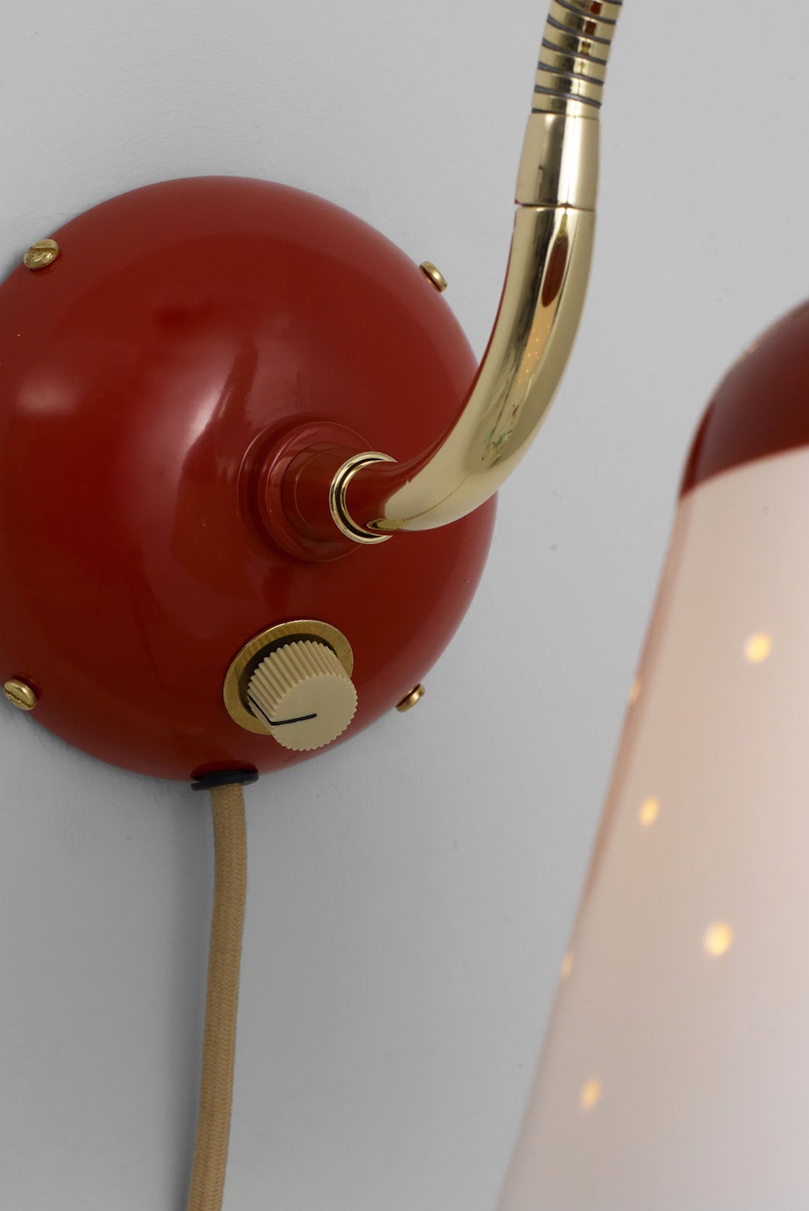 Variant Image for Coral