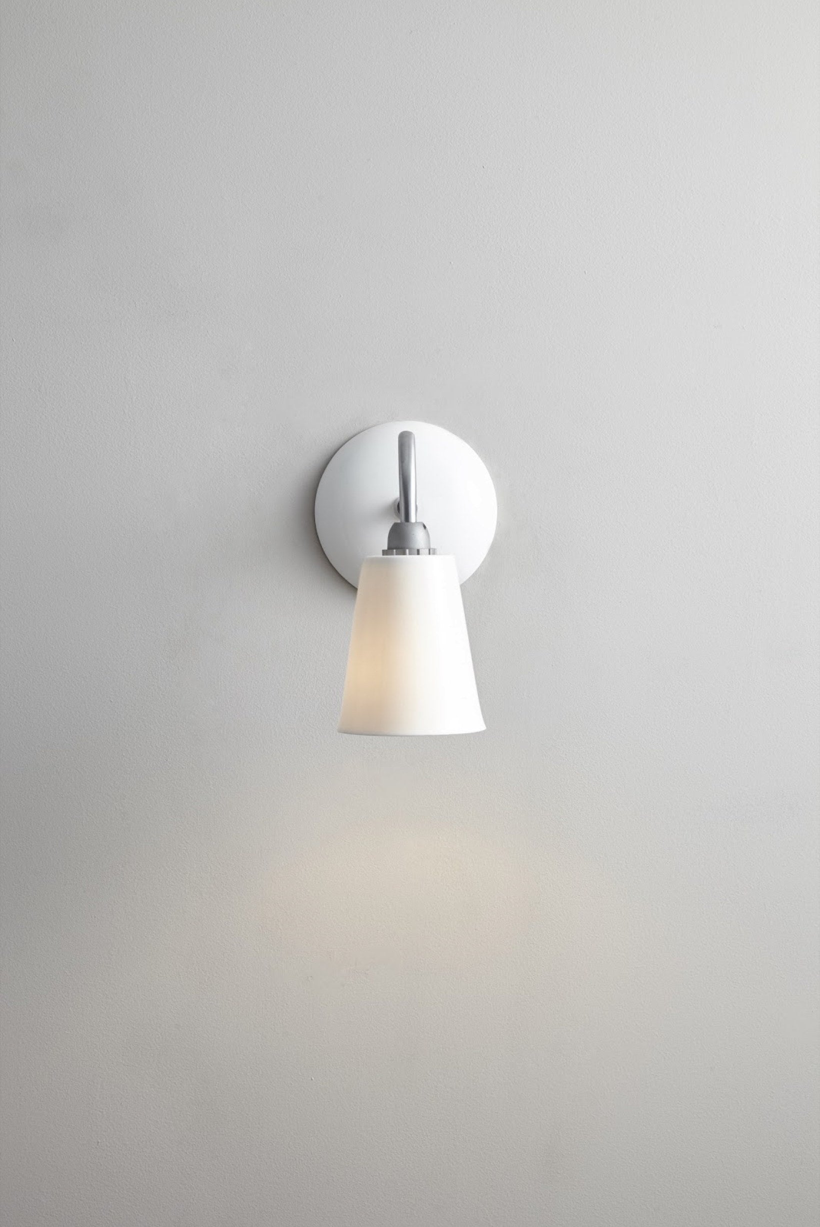 Swan Wall Light