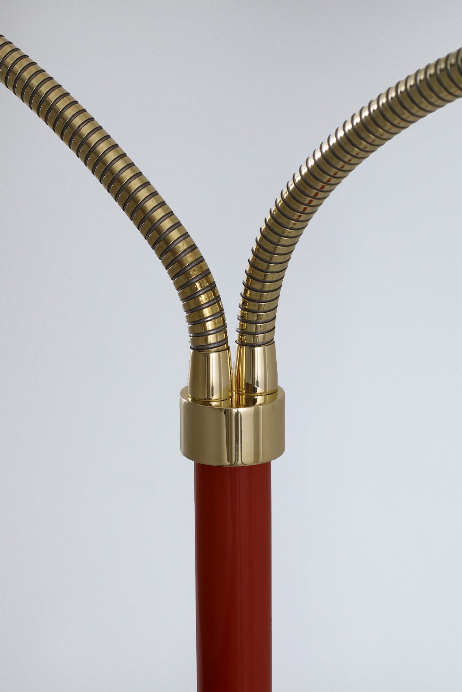 Variant Image for Coral