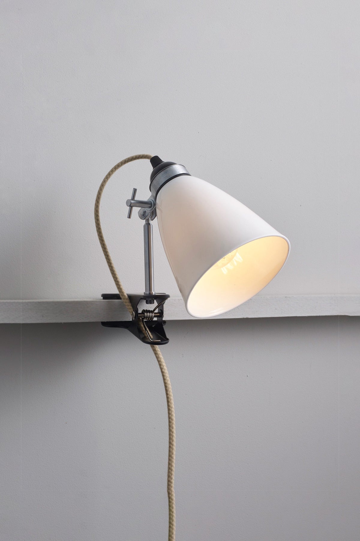Hector Medium Dome Clip Light