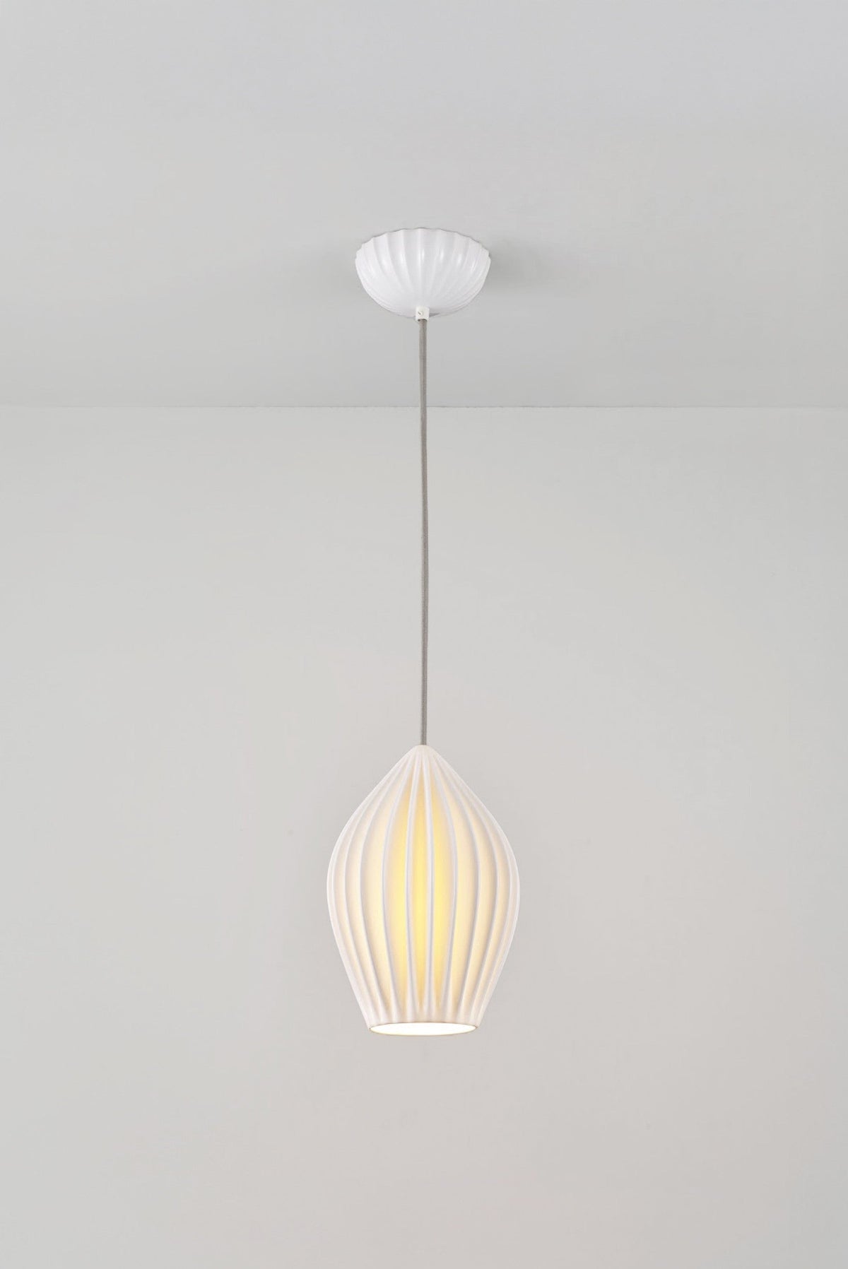 Fin Large Pendant