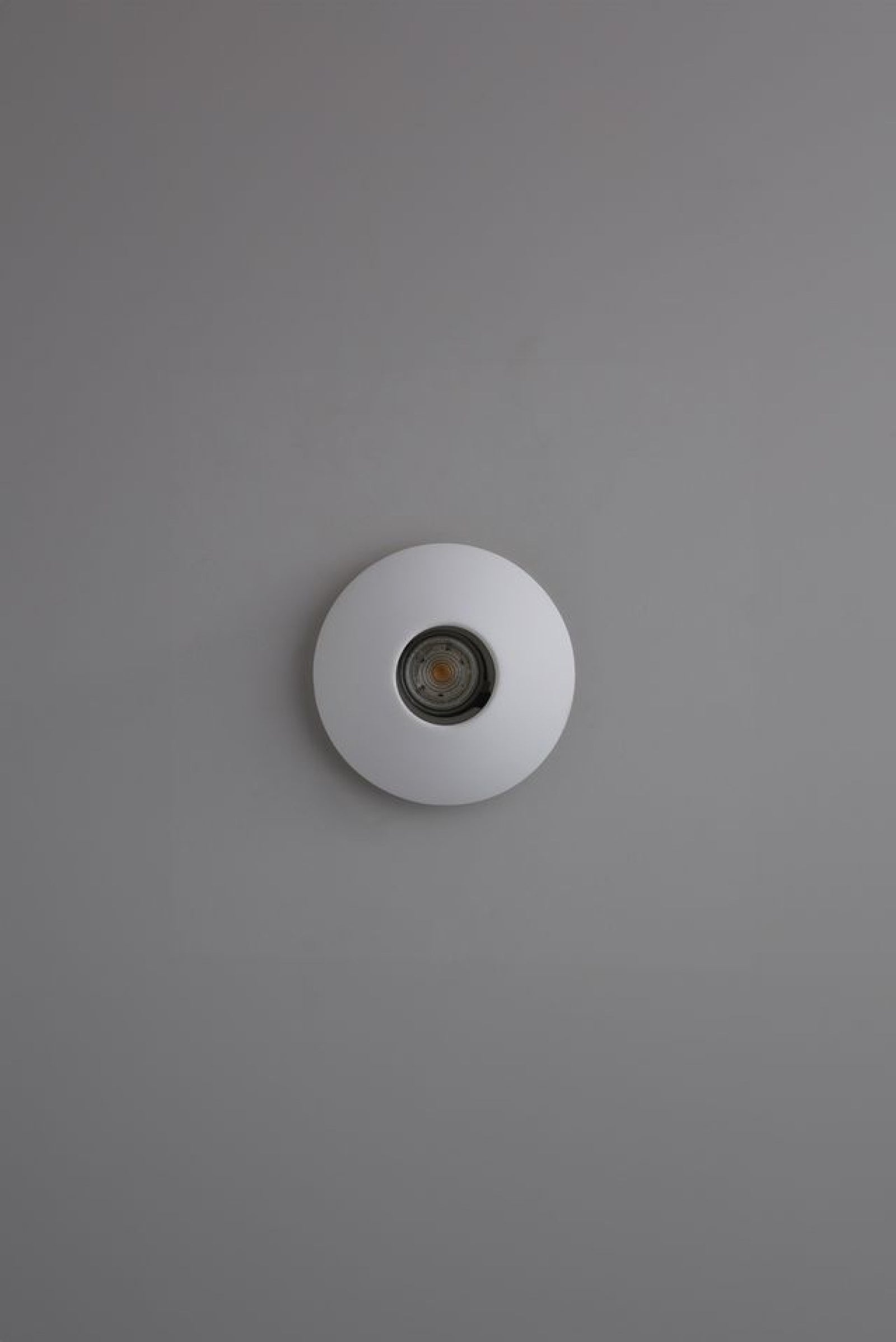 Variant Image for Lisse