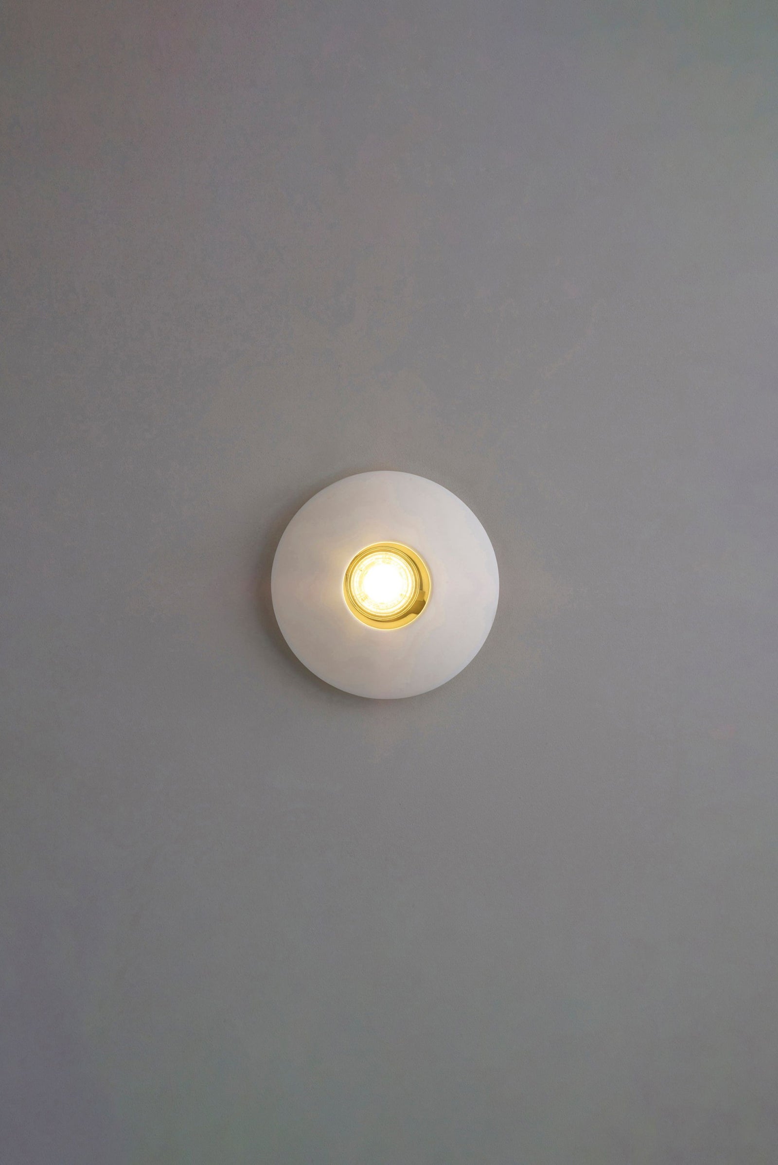 Variant Image for Lisse