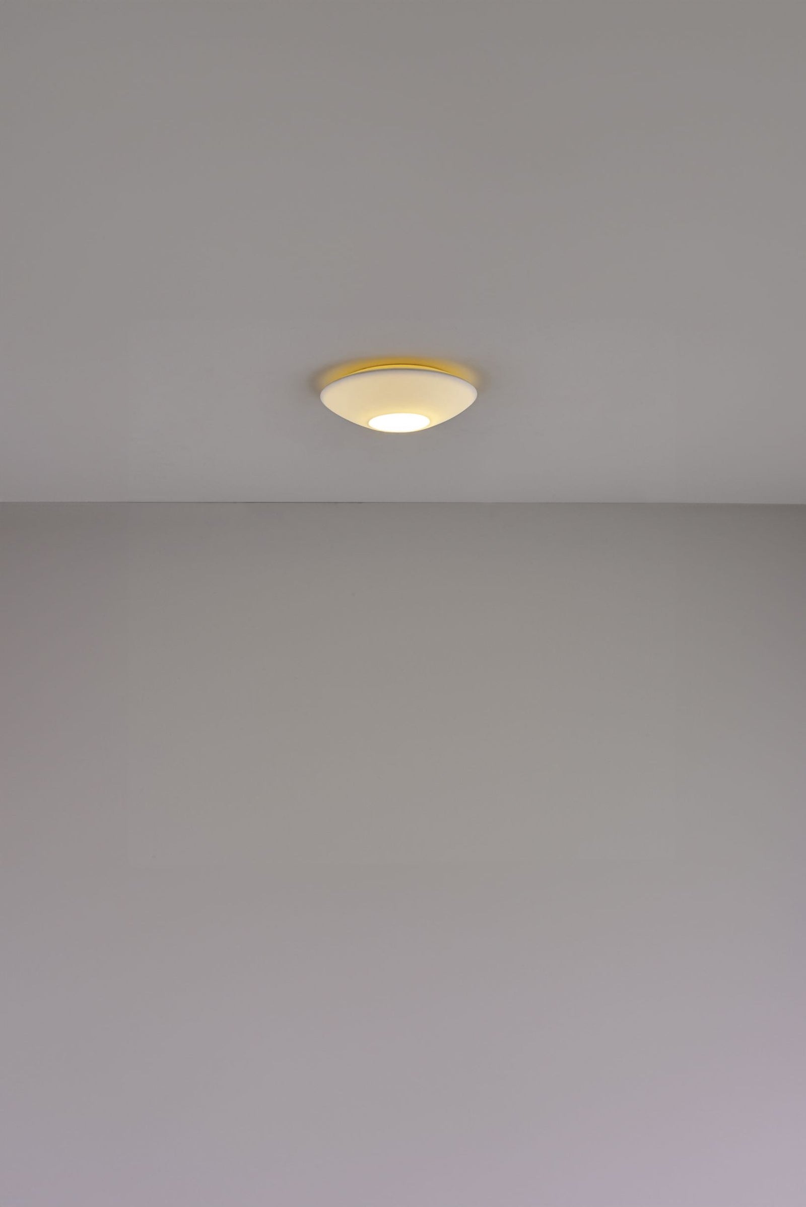 Variant Image for Lisse
