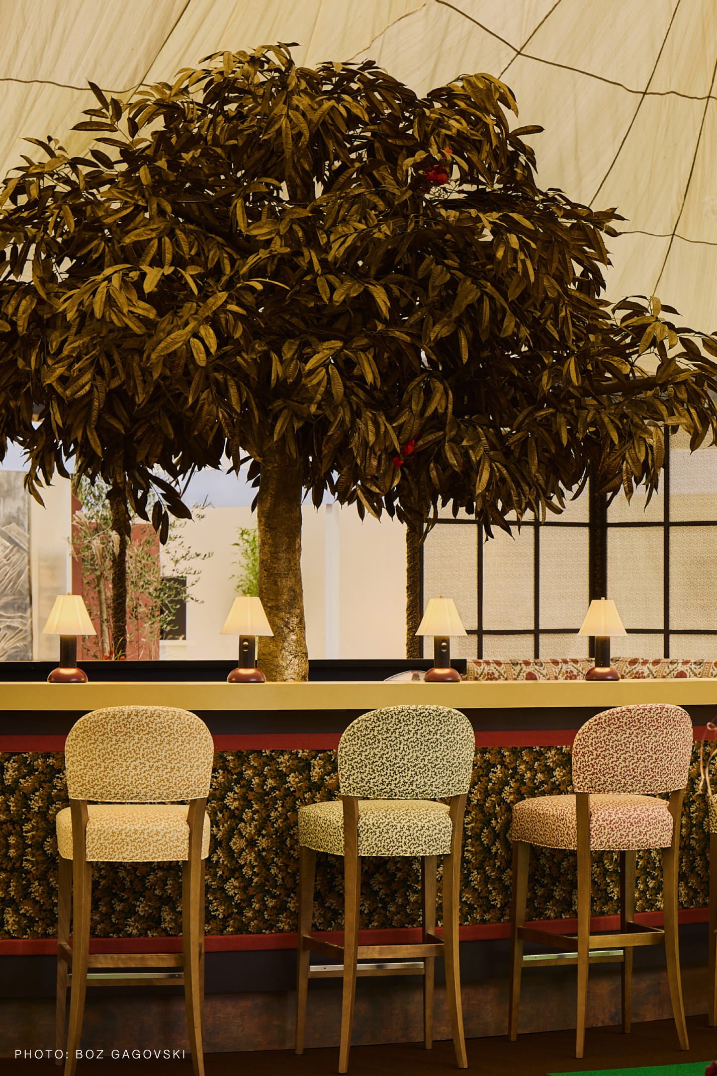 Variant Image for Black Red