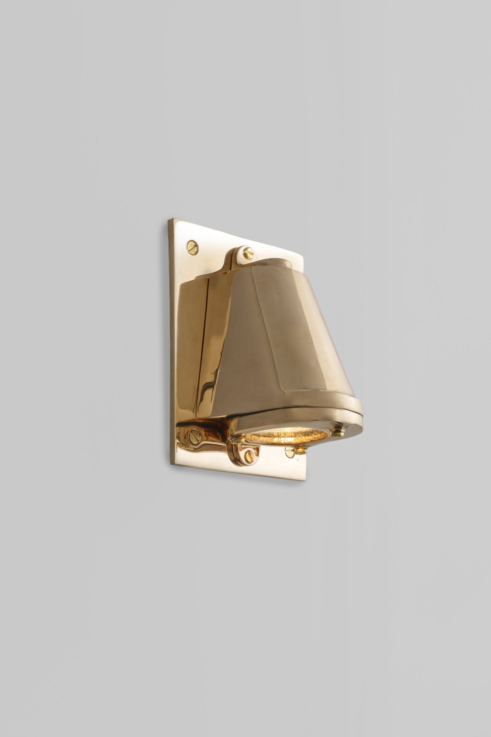 Variant Image for Polished Bronze